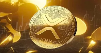 XRP'de Hedef 14 Dolar Mı?