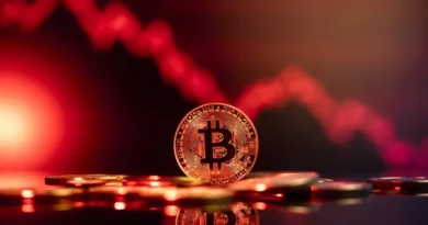 Kripto Paraların Değer Kaybının Nedenleri Neler?