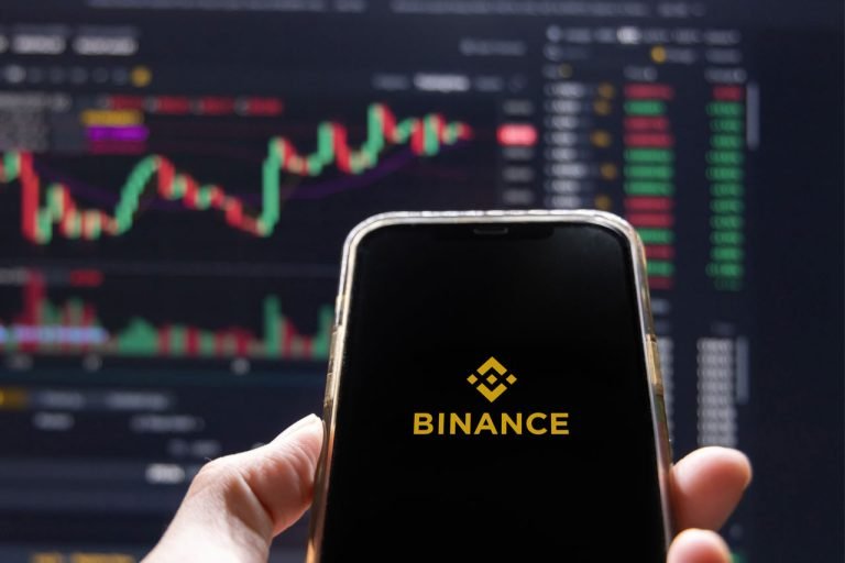 Binance Destekli Altı Altcoin'in Fiyatında Önemli Artış