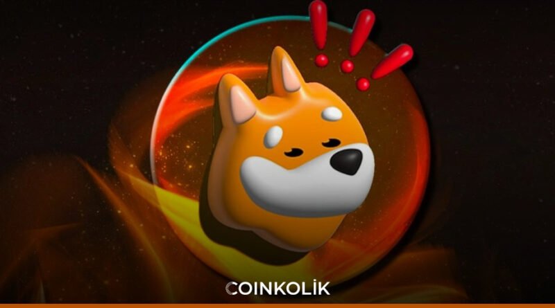 Solana Memecoin'lerinde BONK Sonrası Yükseliş