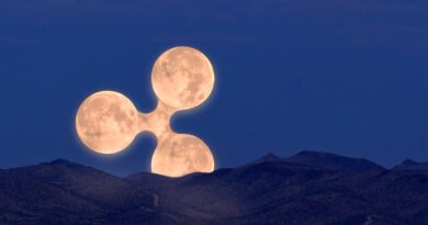 XRP Yıl Sonuna Kadar Yüzde 200 Artış Görebilir