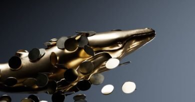 Hyperliquid'de Balina Hareketliliği: On-Chain Veriler Ne Anlatıyor?