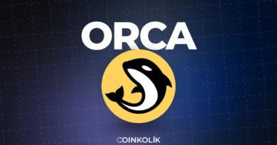 What is Orca Coin? • Coinkolik